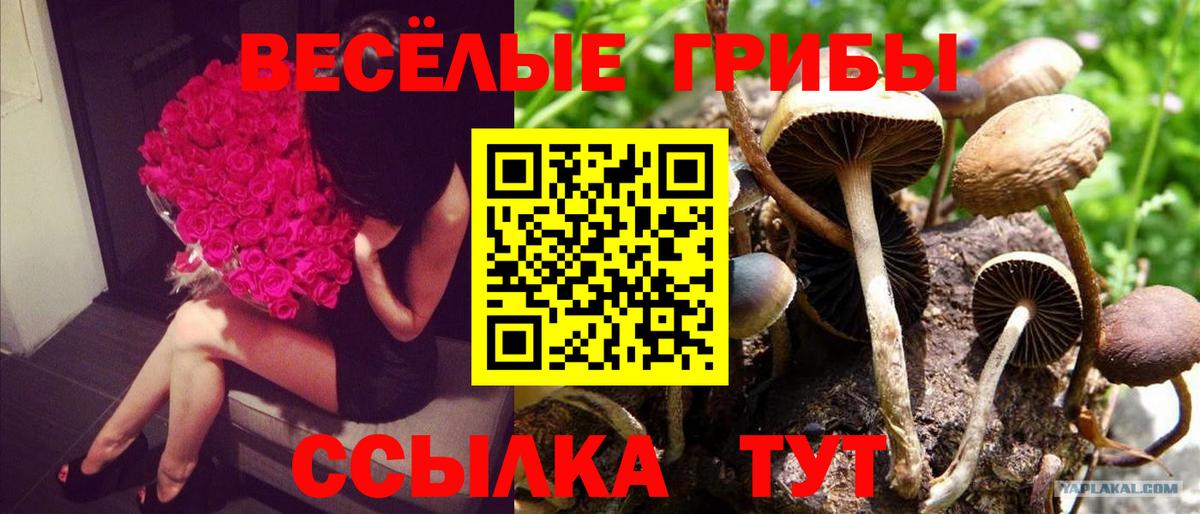 Псилоцибиновые грибы Magic Shrooms  Галлюциногенные грибы мицелий  Вход с VPN  Урай 