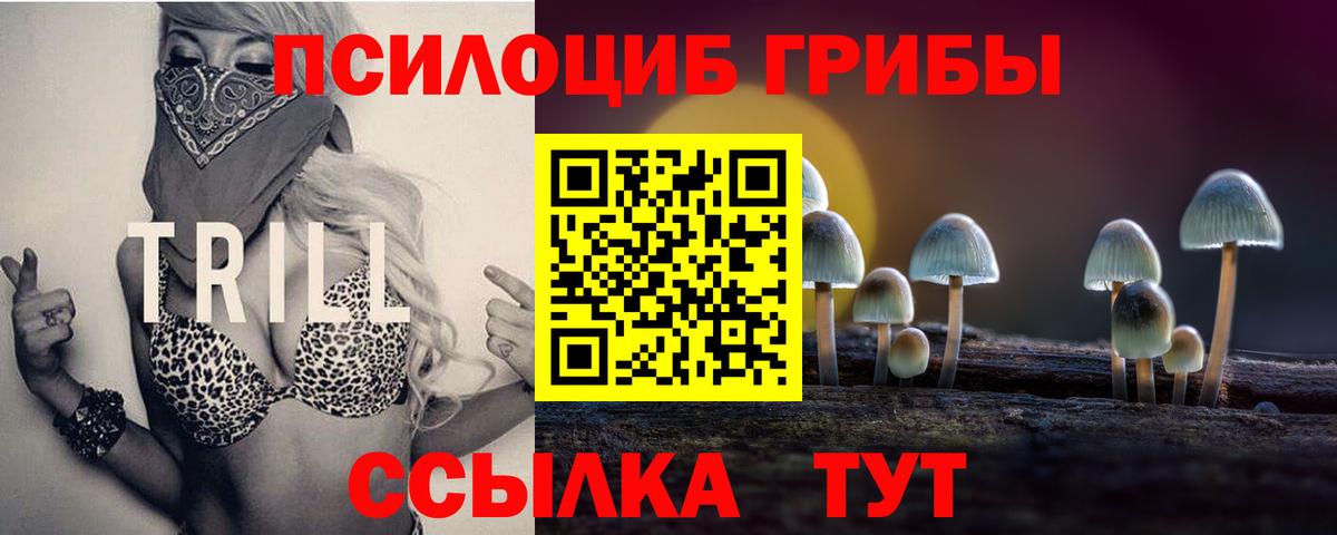 Псилоцибиновые грибы MAGIC MUSHROOMS Урай